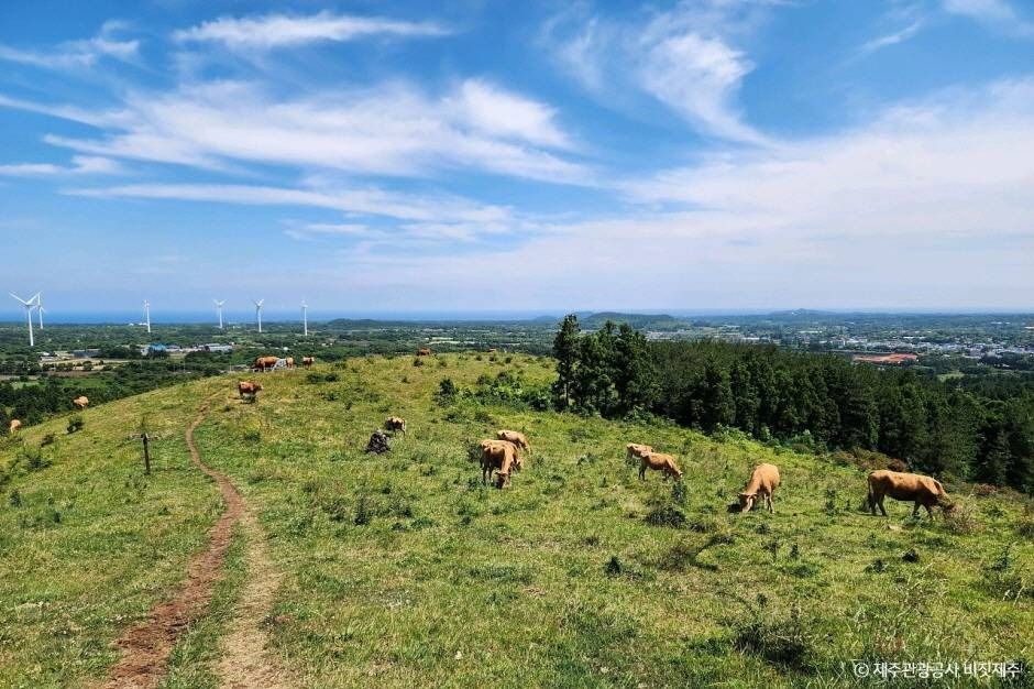 서귀포_영주산 (1)