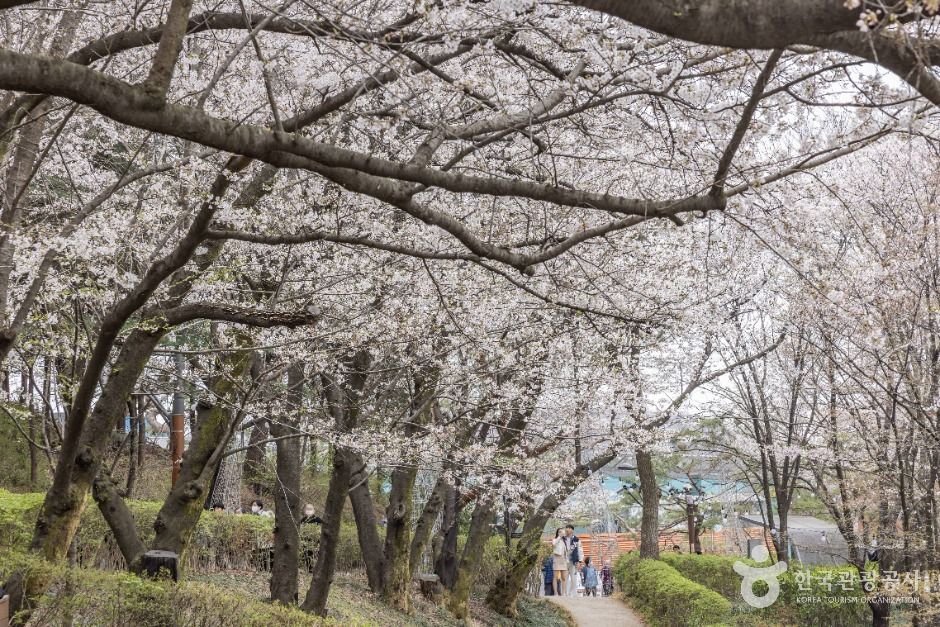 연희숲속쉼터