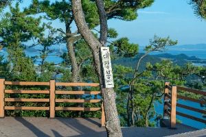 군산_대장봉 전망대 (6)