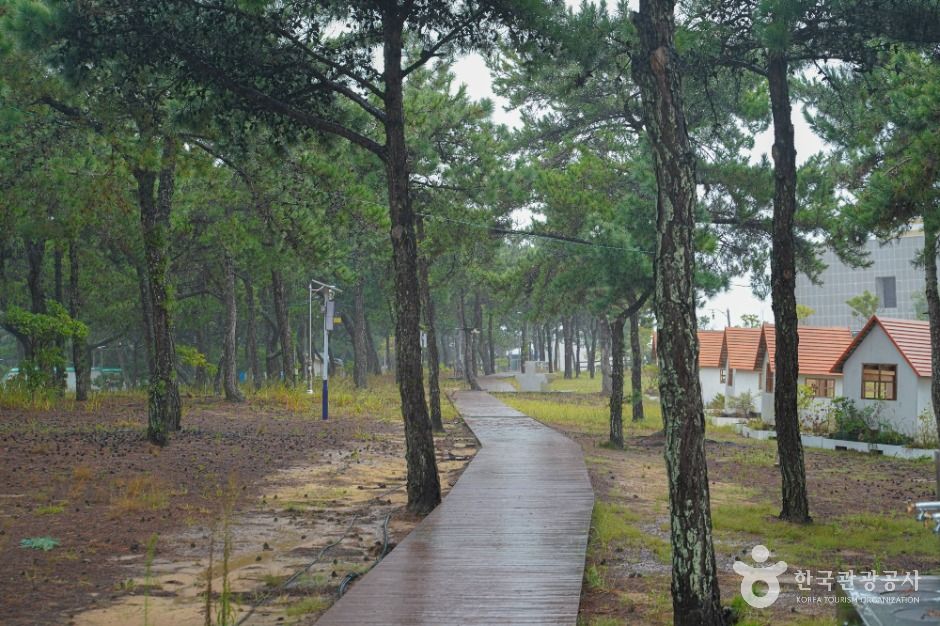 완도_울모래마을 (8)