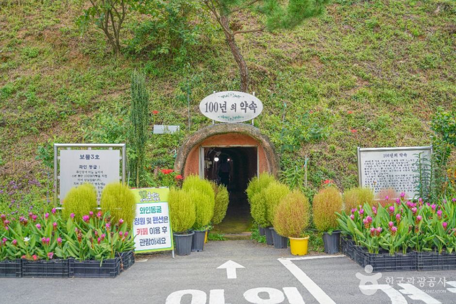 보성 골망태다원