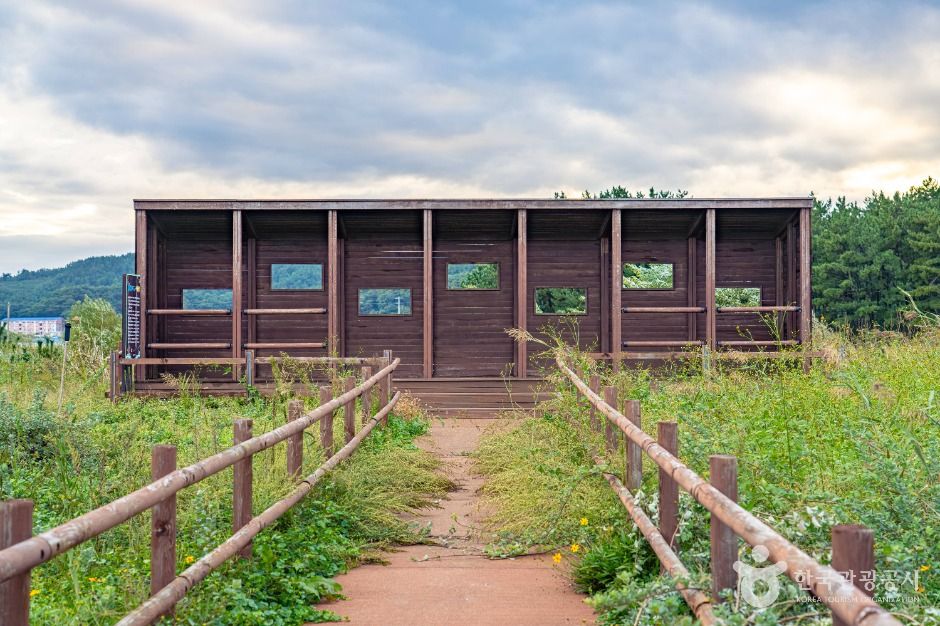 평해사구습지 생태공원