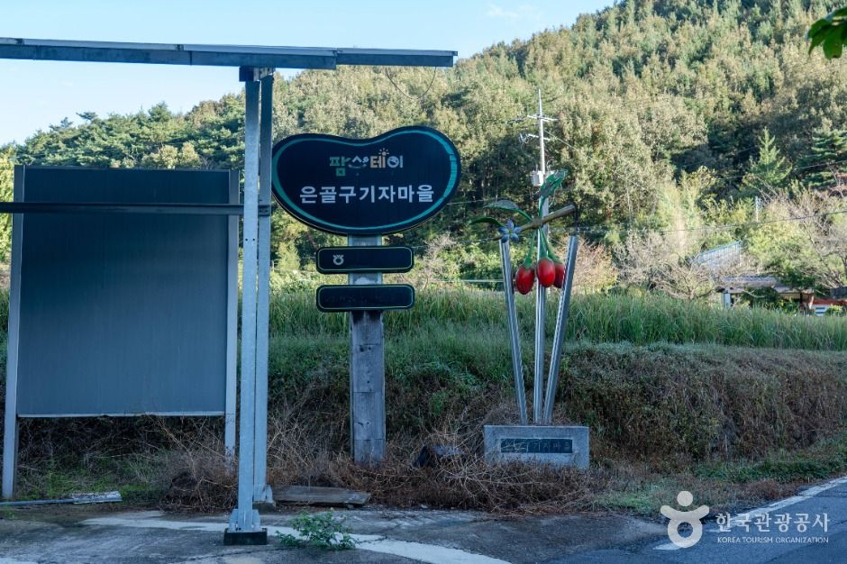 은골구기자마을