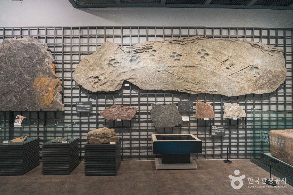 천연기념물센터