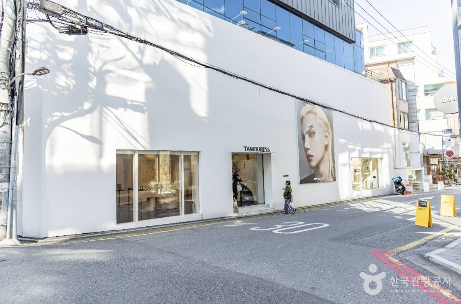 신사동 가로수길