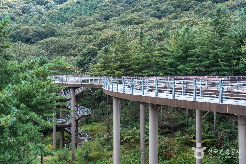 보령 무궁화수목원