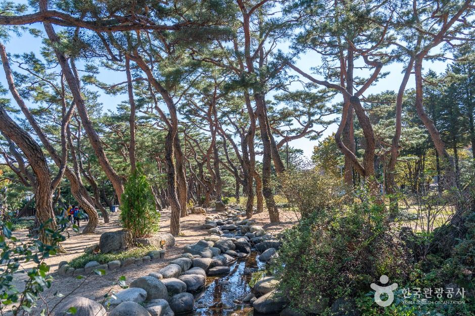 의림지 솔밭공원