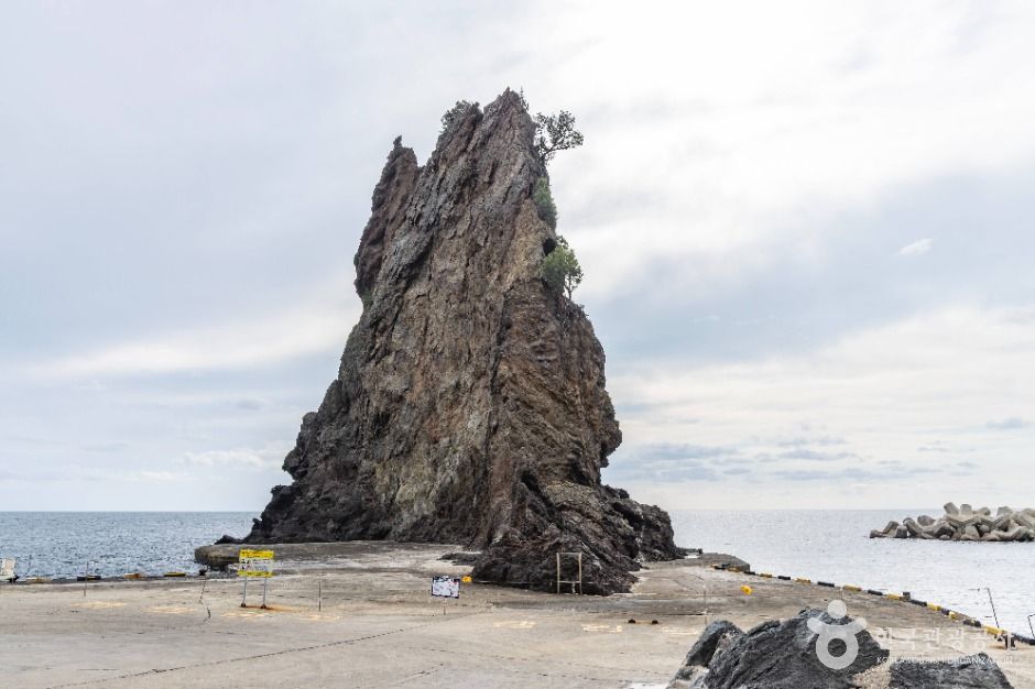 거북바위 및 향나무 자생지 (울릉도, 독도 국가지질공원)