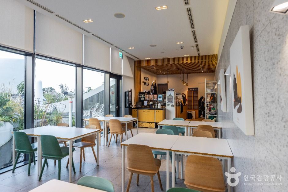 울릉_코스모스 울릉도 (12)