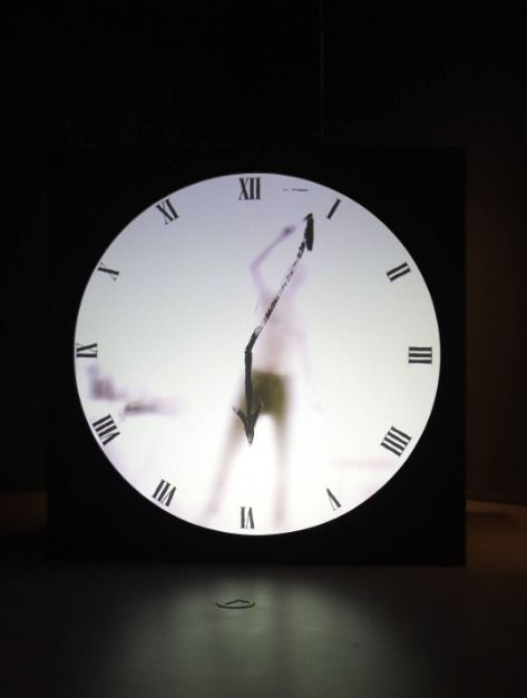 thumbnail-포도뮤지엄-2