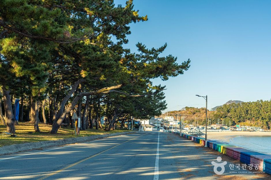 thumbnail-동고리해수욕장-1