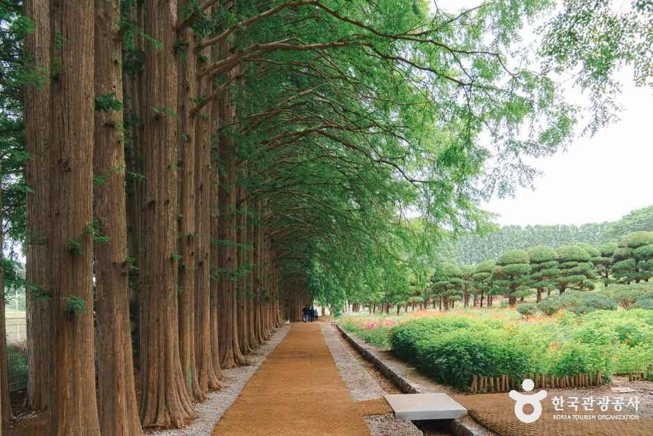 thumbnail-아가페정원-30