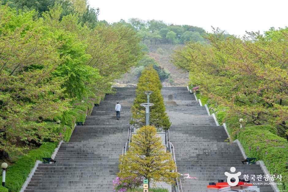 thumbnail-병목안 시민공원-12