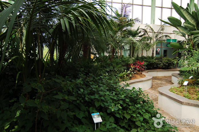 Gangwon-do Provincial Flower Garden (강원도립화목원)