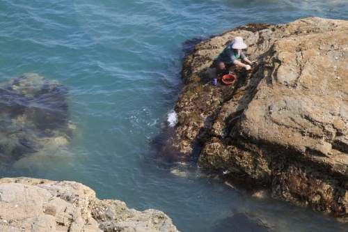 Odongdo Island (오동도)