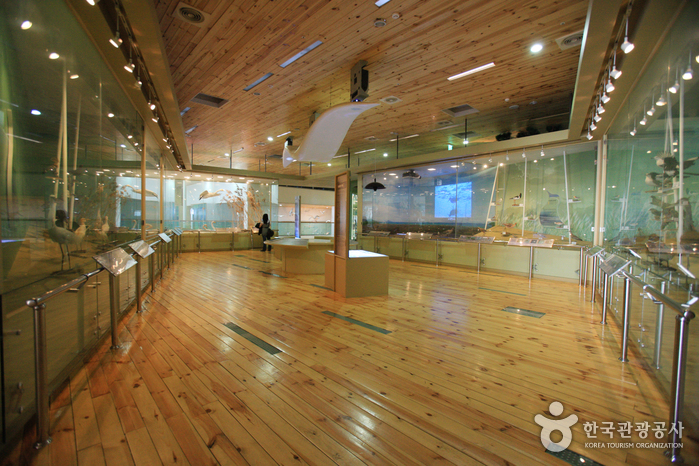 Eco-Centre de l'Estuaire de Nakdong (낙동강하구에코센터)