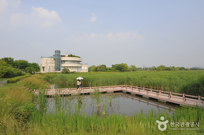 Parque del Cañaveral de Ansan (안산갈대습지공원)