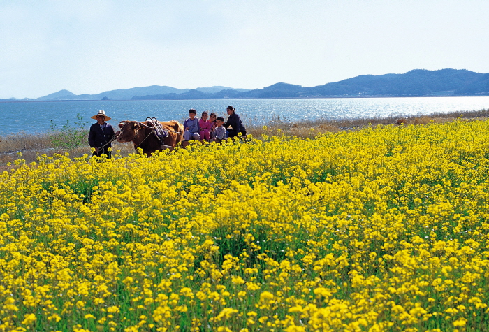 2012여수엑스포로 떠나는 1박 2일 가족여행