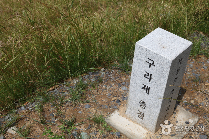 Dalseong Marsh (대구 달성습지)
