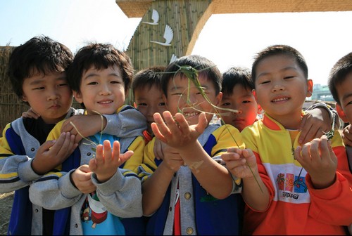 顺天湾芦苇节 br () :韩国旅游官方网站