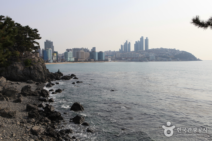 Haeundae Dongbaekseom Island (해운대 동백섬)