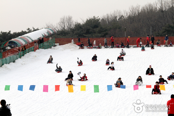 Снежные горки  в парке Соуль Лэнд (서울랜드 눈썰매장)