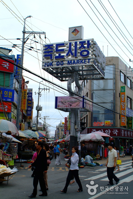 Jukdo Market (포항 죽도시...