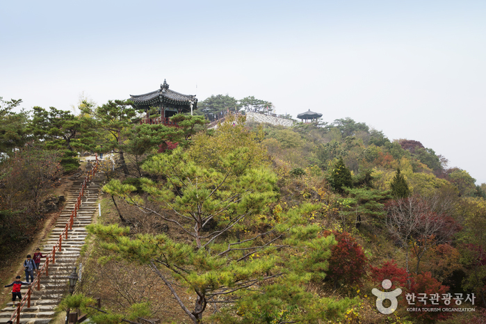 Parque de los Patrimonios Culturales de Cheongpung (청풍문화재단지)