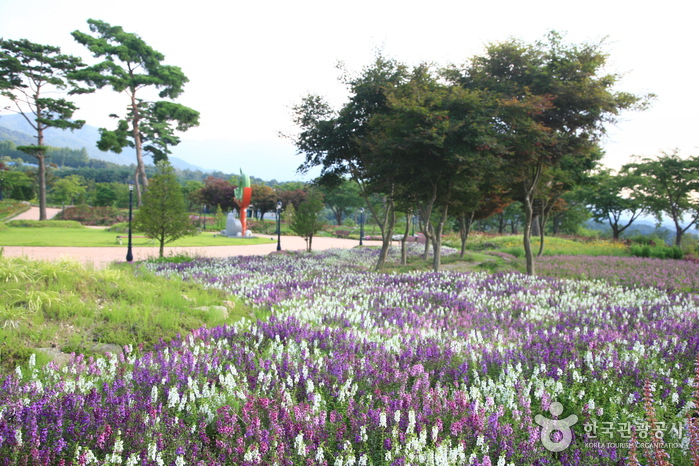 지리산에서 자란 허브로 만든 허브화장품
