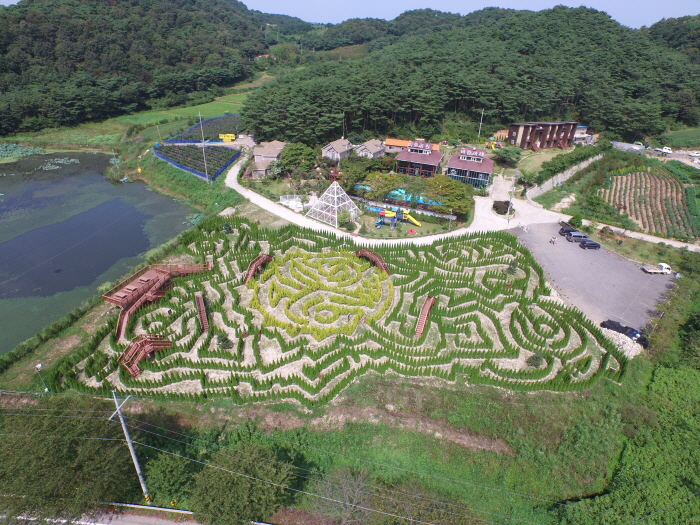 Underwind tourism farm [Korea Quality] / 바람아래관광농원 [한국관광 품질인증]