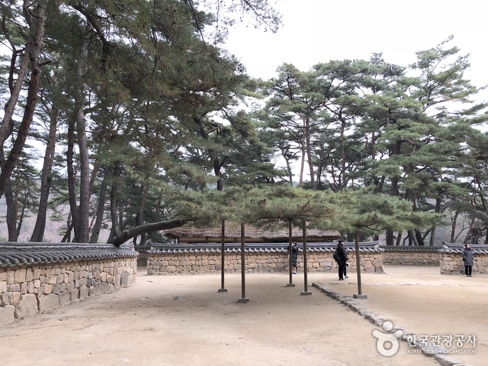 Чхоннёнпхо (Национальный геопарк палеозойской эры в Канвондо) (청령포 (강원고생대 국가지질공원))