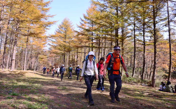 하이원 하늘길 트레킹 페스티벌 20191