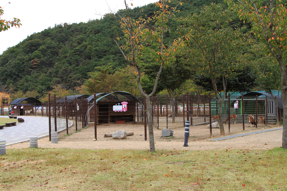 경북_고령군_데가야역사테마공원관광지캠핑장 (5)