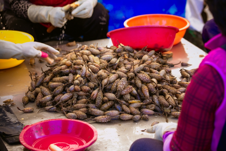 온라인 창원진동 미더덕축제3