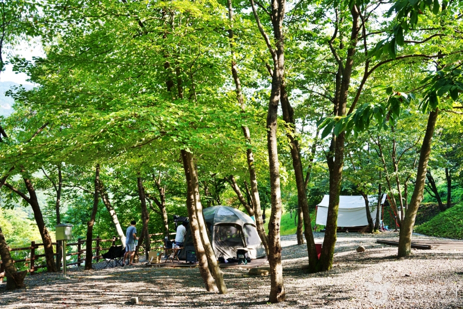 대둔산 도립공원 수락캠핑장