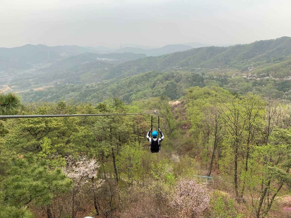 영인산자연휴양림 스카이어드벤처 (영인산 짚라인)