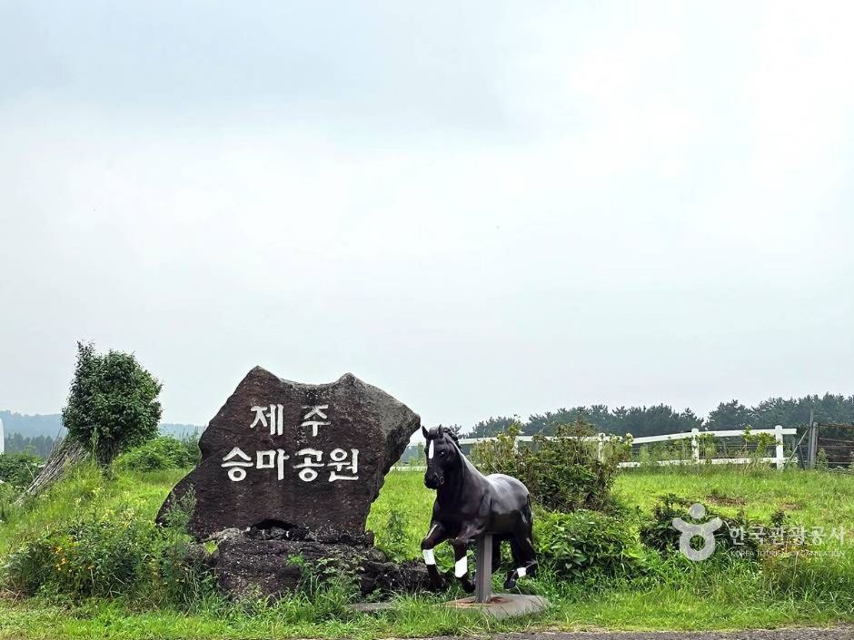 A05945_제주_제주_제주승마공원 (4)_e