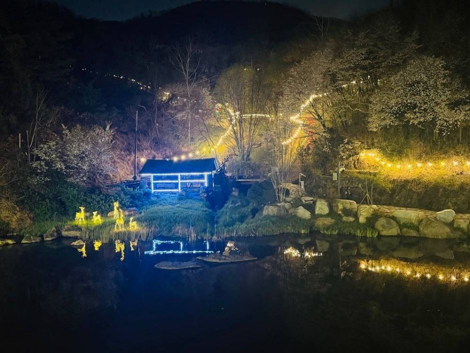 서대문 봄빛축제