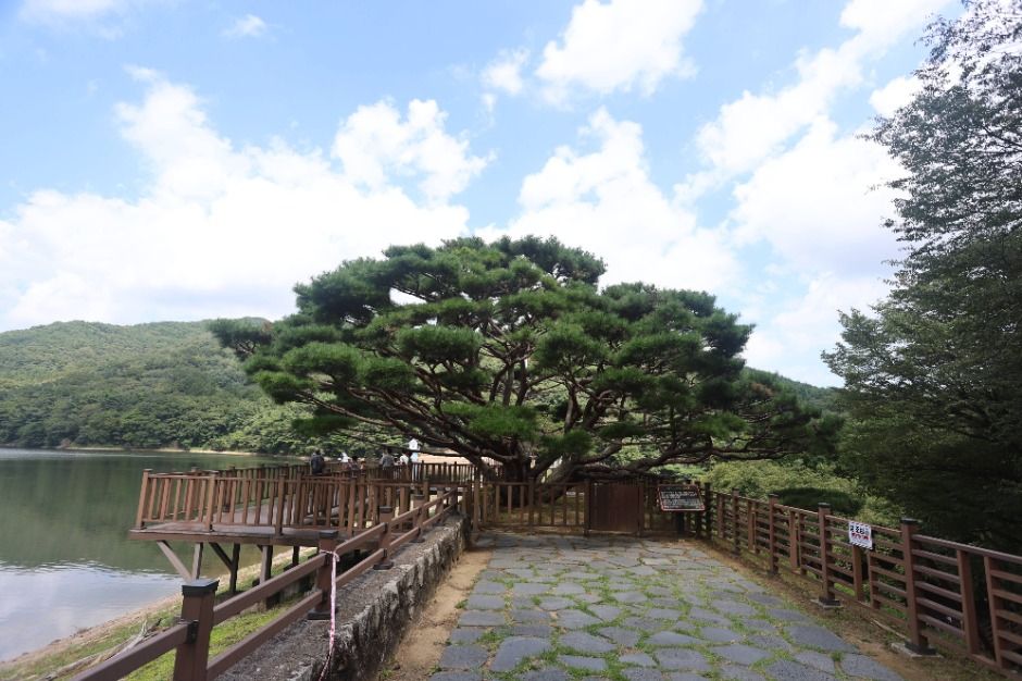 법기수원지