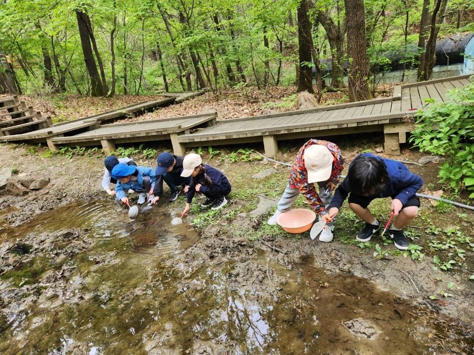 맹산반딧불이자연학교
