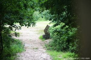 서울_[북한산 둘레길 21구간] 우이령길 (11)