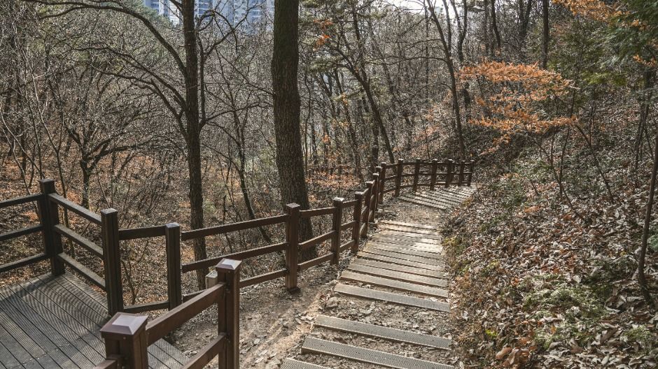 팔룡산 돌탑공원