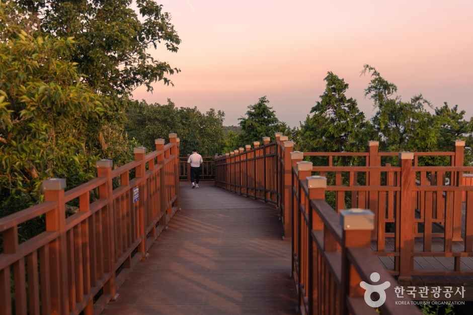 봉래산(부산)