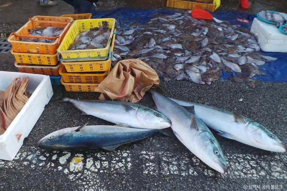 삼척_삼척 번개시장 (4)