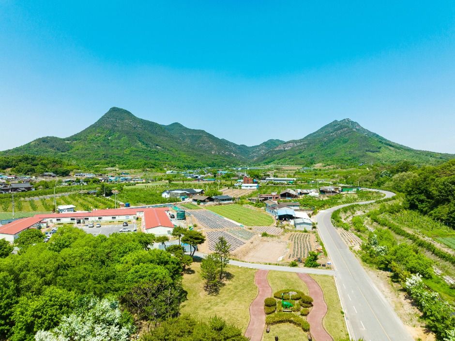 금성산·비봉산(의성)