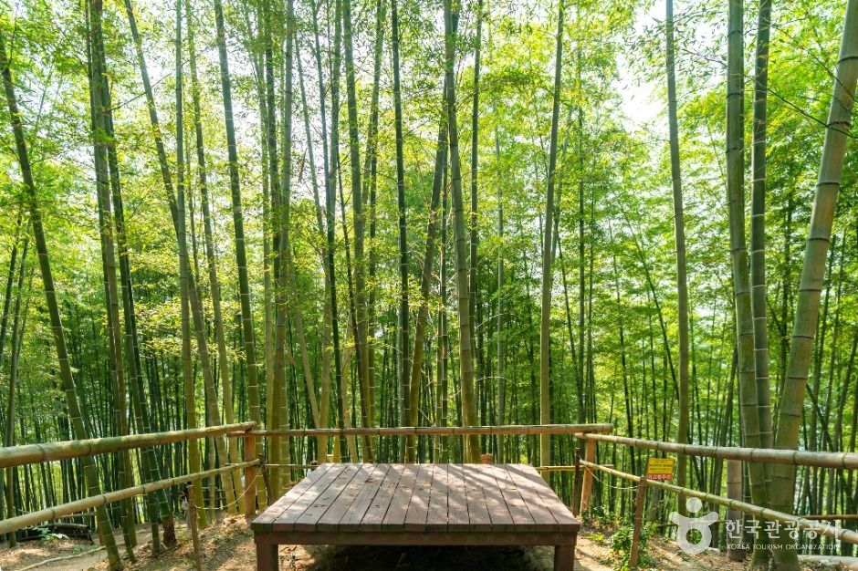 거제맹종죽테마공원