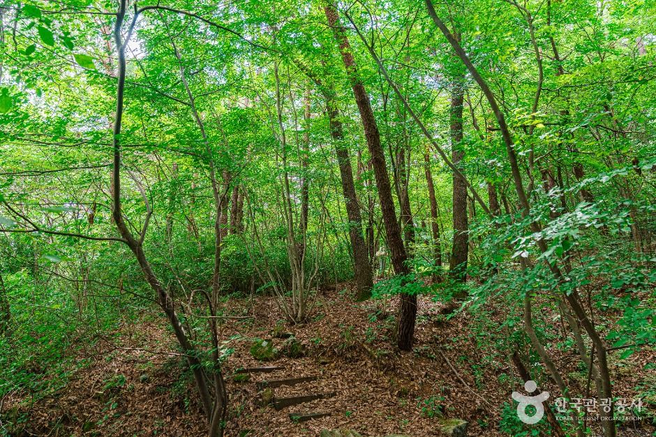 [무등산 옛길 3구간] 장원삼거리-환벽당