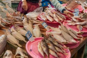 사천_삼천포용궁수산시장 (6)