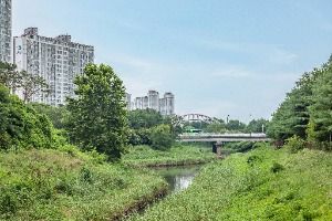 인천_굴포천 생태하천 (1)