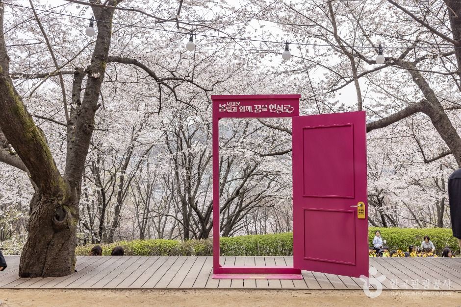 연희숲속쉼터